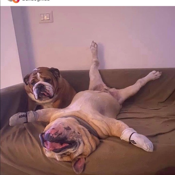 Meet your Posher, Derek - Picture 1 of 1